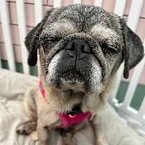 Thumbnail photo of Sally 13655 #2