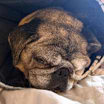 Thumbnail photo of Sally 13655 #4