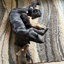 Thumbnail photo of Holly #2