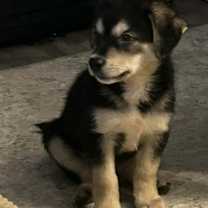 Thumbnail photo of Aaron #4