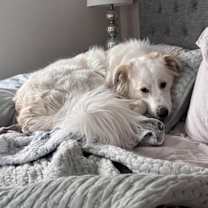 Thumbnail photo of Sky (fka Slider Baseball Litter '25) #2