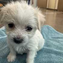 Thumbnail photo of Ed #4