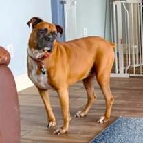 Thumbnail photo of Sadie V #2