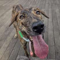 Thumbnail photo of Albam #1