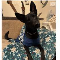 Thumbnail photo of Brothers Grimm: Jacob #2