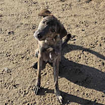 Thumbnail photo of Albam #3