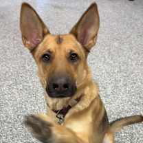 Thumbnail photo of Suki #2