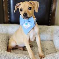 Thumbnail photo of Arthur #1