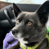 Thumbnail photo of Jackie #1