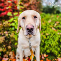 Thumbnail photo of Jensen #2