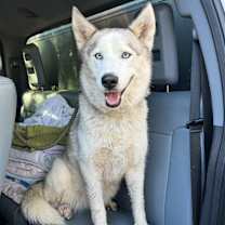 Thumbnail photo of Diamond #1