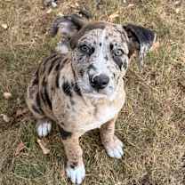 Thumbnail photo of Flitzpzzle #1