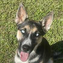 Thumbnail photo of Birdie #1