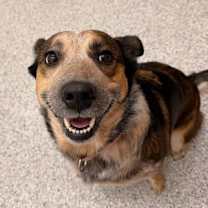 Thumbnail photo of Katya #1