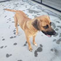 Thumbnail photo of Rainy #2