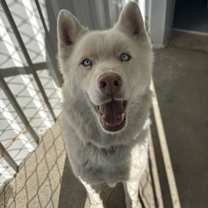 Thumbnail photo of Crew #4