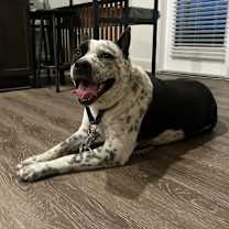 Thumbnail photo of Missio #2