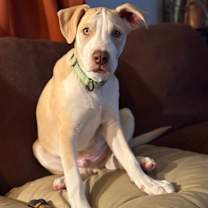 Thumbnail photo of Fred Dean #2