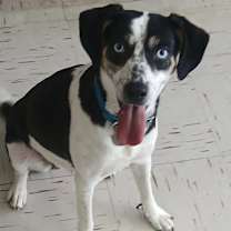 Thumbnail photo of Cypress #1