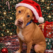 Thumbnail photo of Tanner #3