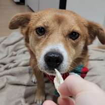 Thumbnail photo of Tree #4