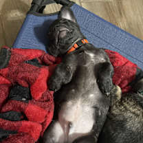 Thumbnail photo of Liam #3