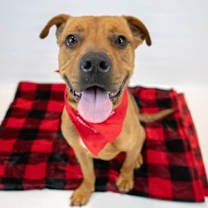 Thumbnail photo of Wilson #3