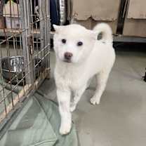 Thumbnail photo of Seongchan #2