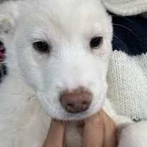 Thumbnail photo of Seongchan #3