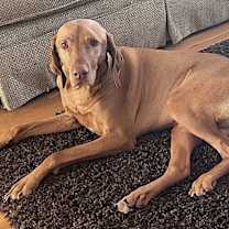 Thumbnail photo of Harrison #2