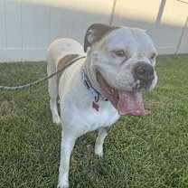 Thumbnail photo of Bonnie #4