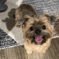 Thumbnail photo of Fifi #3