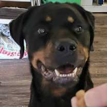 Thumbnail photo of DELTA #2