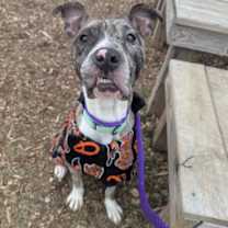 Thumbnail photo of Simon #2