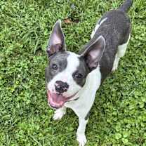 Thumbnail photo of Cruz #1