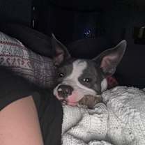 Thumbnail photo of Cruz #2