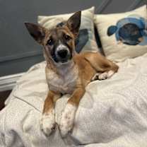 Thumbnail photo of Katherine #2