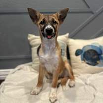 Thumbnail photo of Katherine #3