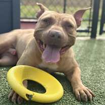 Thumbnail photo of Denver #1