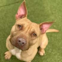 Thumbnail photo of Denver #2