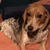 Thumbnail photo of Mika #2