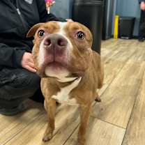 Thumbnail photo of Sidney #1