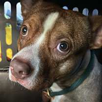 Thumbnail photo of Sidney #2