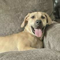 Thumbnail photo of Sweet Baby in CT #2