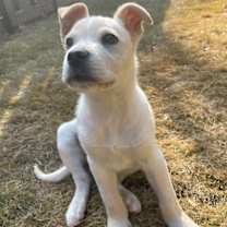 Thumbnail photo of Bryce #4