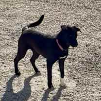 Thumbnail photo of Sissy #2