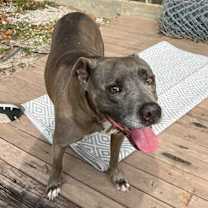 Thumbnail photo of Captain #4