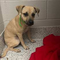 Thumbnail photo of PetePete #2