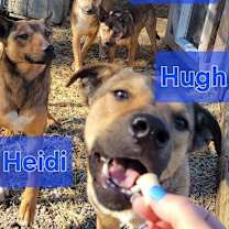 Thumbnail photo of Hailey #4