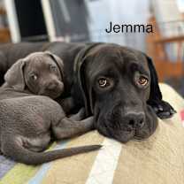 Thumbnail photo of Jemma #1